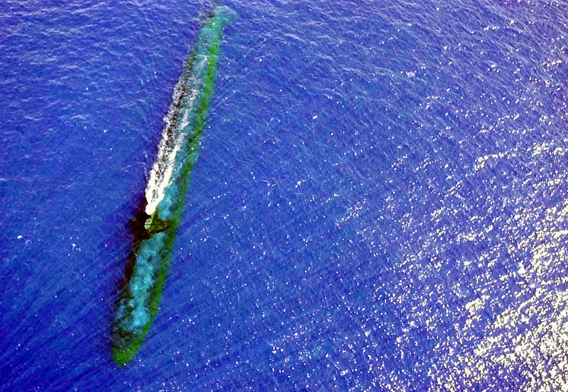 Illustration for article titled Even More Wacky Submarine Terms You Never Knew You Wanted To Know